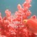 2019流行顏色 Pantone Color of the year 2019  (Living Coral)